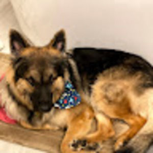 Meet your Posher, Cheryl